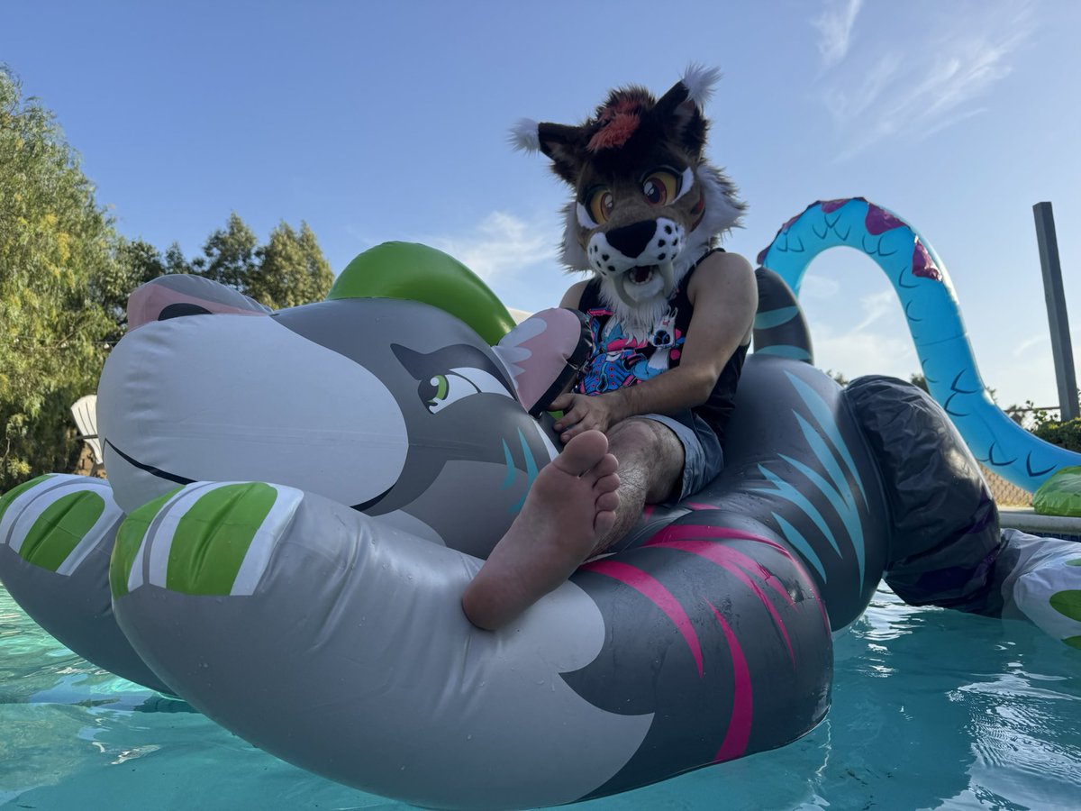 It’s been a while sense I’ve done a #SqueakySaturday