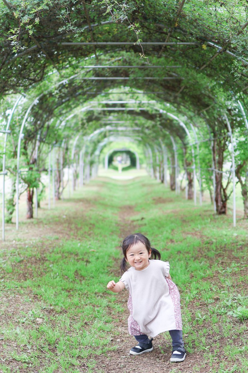 toko1220sing's tweet photo. でか鯉、謎ポーズ、カワウソ https://t.co/SkaZvlYG4S