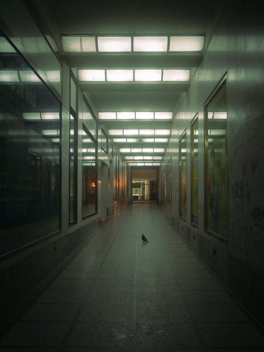 tina (@ipirateadobe) on Twitter photo 