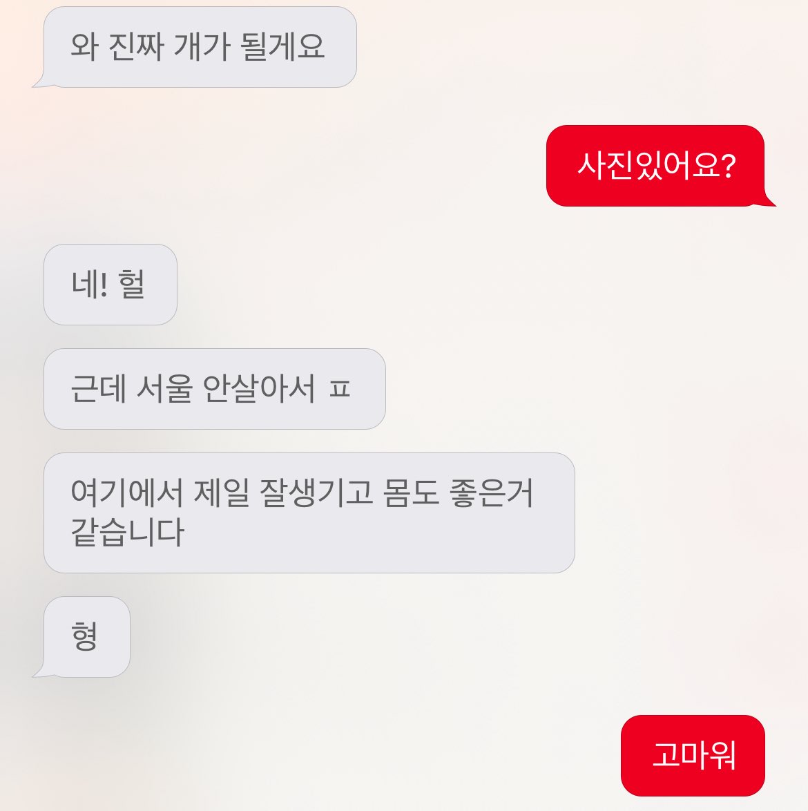 사람만나고 싶은데
강아지도 구합니다