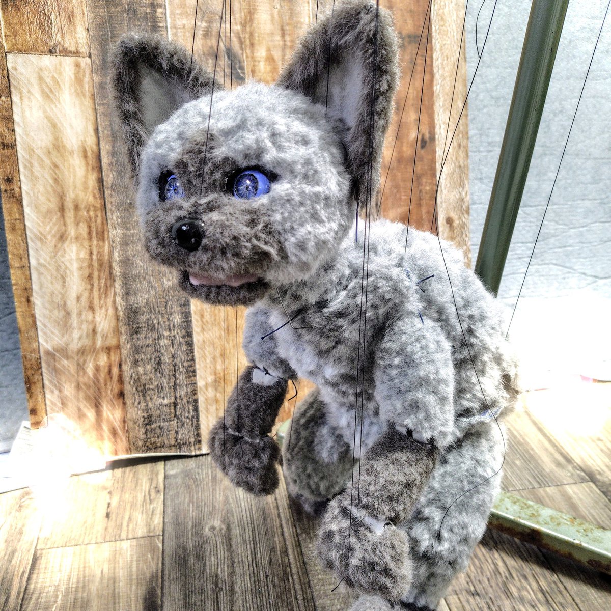 ネコくんに糸がついたので、キントキくんと記念撮影
ちゃんと猫背だけど、シッポがないとバランス悪いかな

着せ替えが楽しそうな子ですな

#マリオネット #猫スタグラム #レッサーパンダ #シッポ #marionette #catstagram_japan #redpanda_nippon #handmade #cat