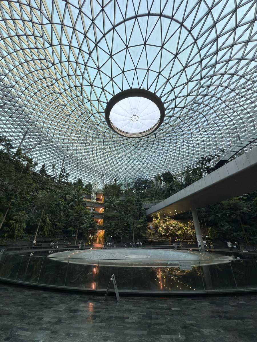 又來新加坡交配了！