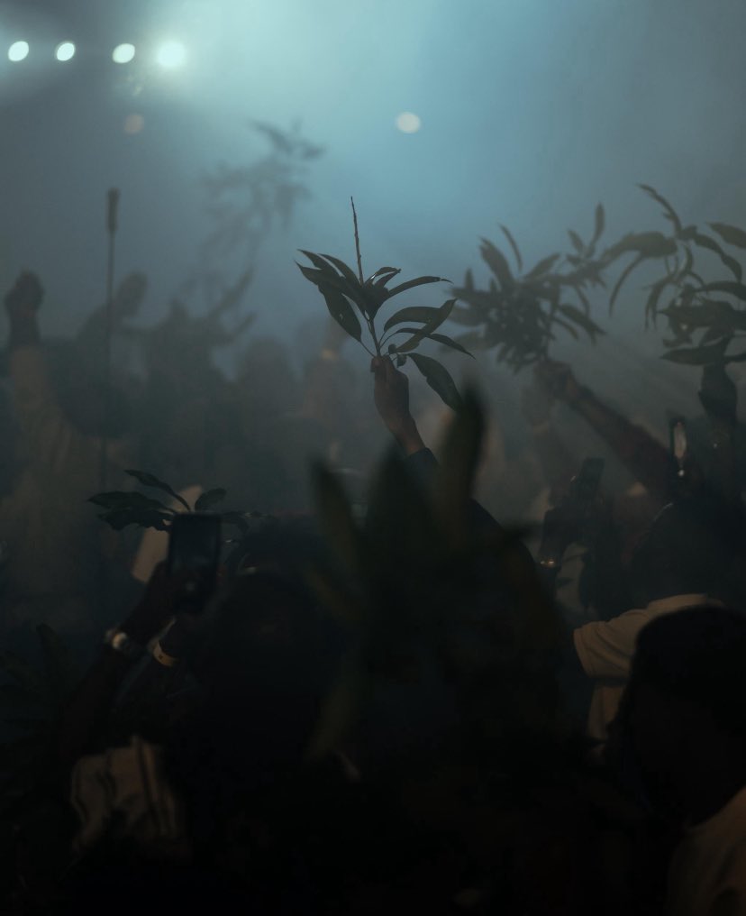 Patrick Salvado 👑 tweet media