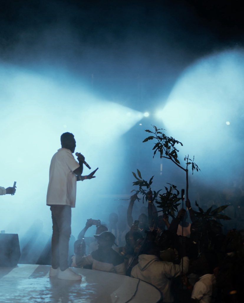 Patrick Salvado 👑 tweet media