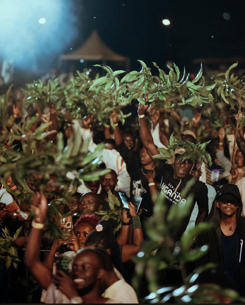 Patrick Salvado 👑 tweet media