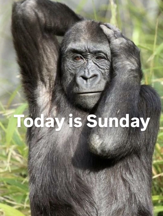 Sarcastic Iowa Guy (@uiowa_police) on Twitter photo 