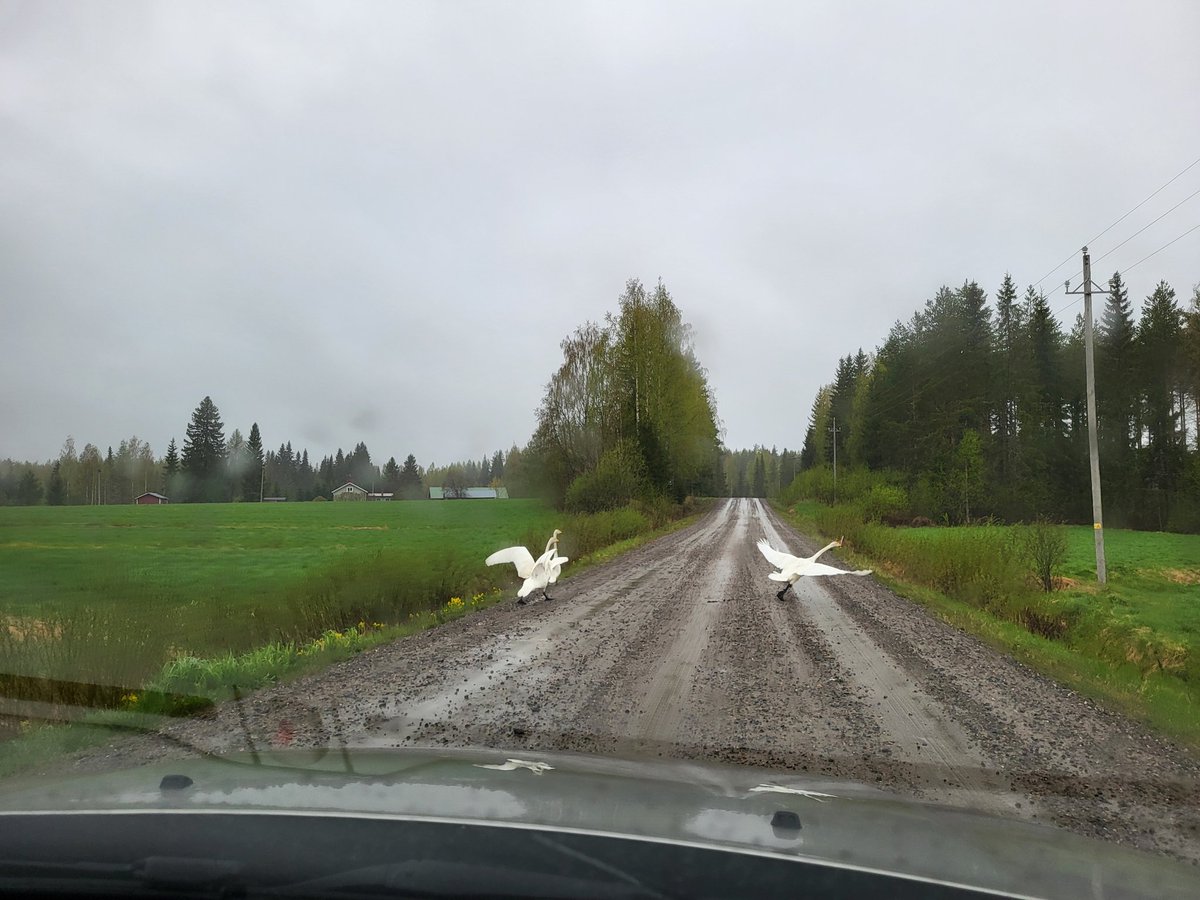 Kangaskyläntien liikenneruuhka sunnuntaiaamuna.
#joutsenettiellä #liikenneruuhka #kirkkoonkomenossa #sunnuntaikävelyllä #munmaaseutu #Keitele