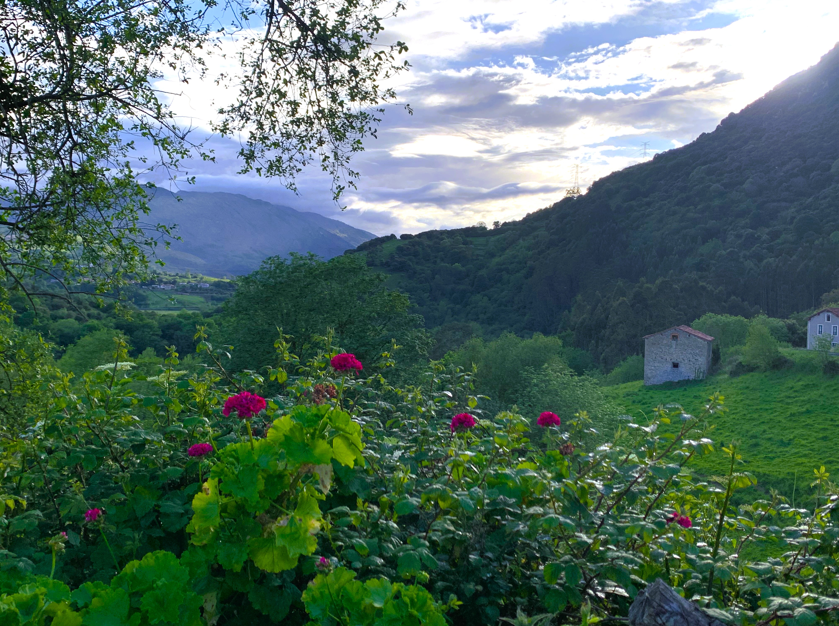 "Pues el poeta, necesariamente, se constituye en dos reinos, que acaso sean uno solo: el de la memoria y el de la visión."

(José Ángel Valente)

¡Buen domingo!