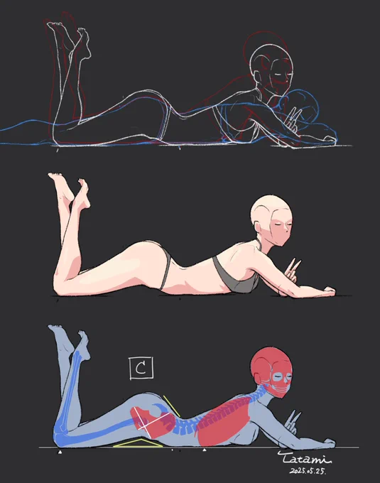寝そべった骨格のスケッチの追加案「C」を描いてみました。「A」より骨盤の前傾を強めたイメージ。腰が浮いてヒップラインが高くなる。腰椎の前湾に限界があり上体はAより低くなるかと。乳房がギリギリ潰れない状態。 