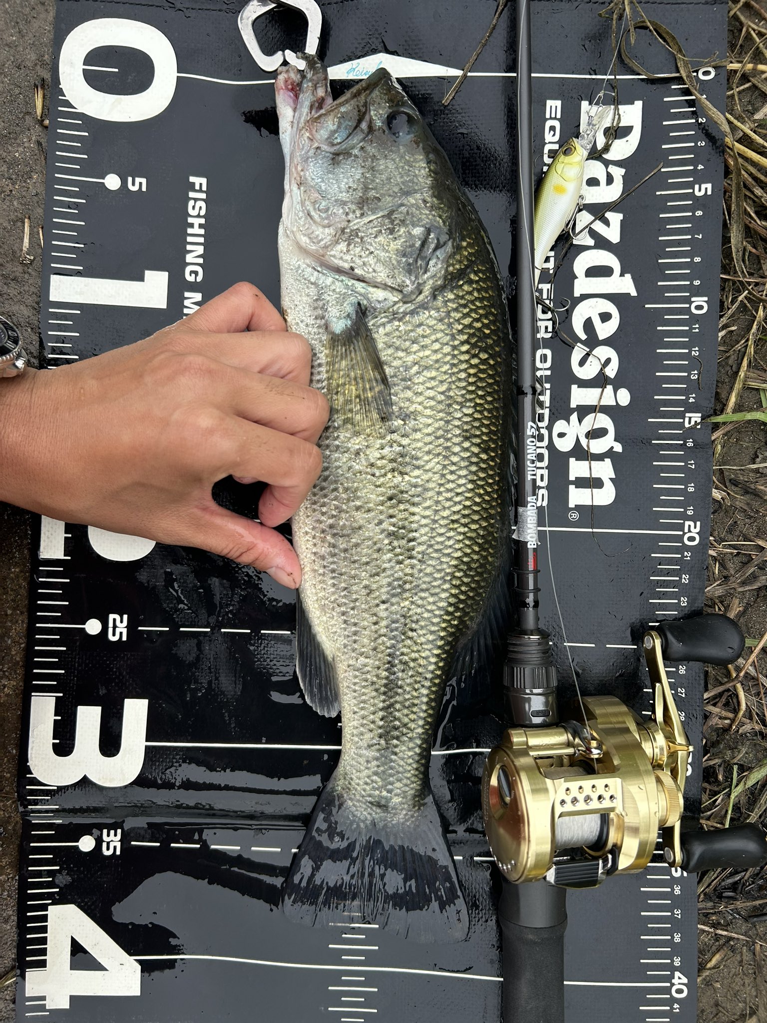 ボンバダアグア トゥッカーノ57 ボンバダアグア/トゥッカーノ57