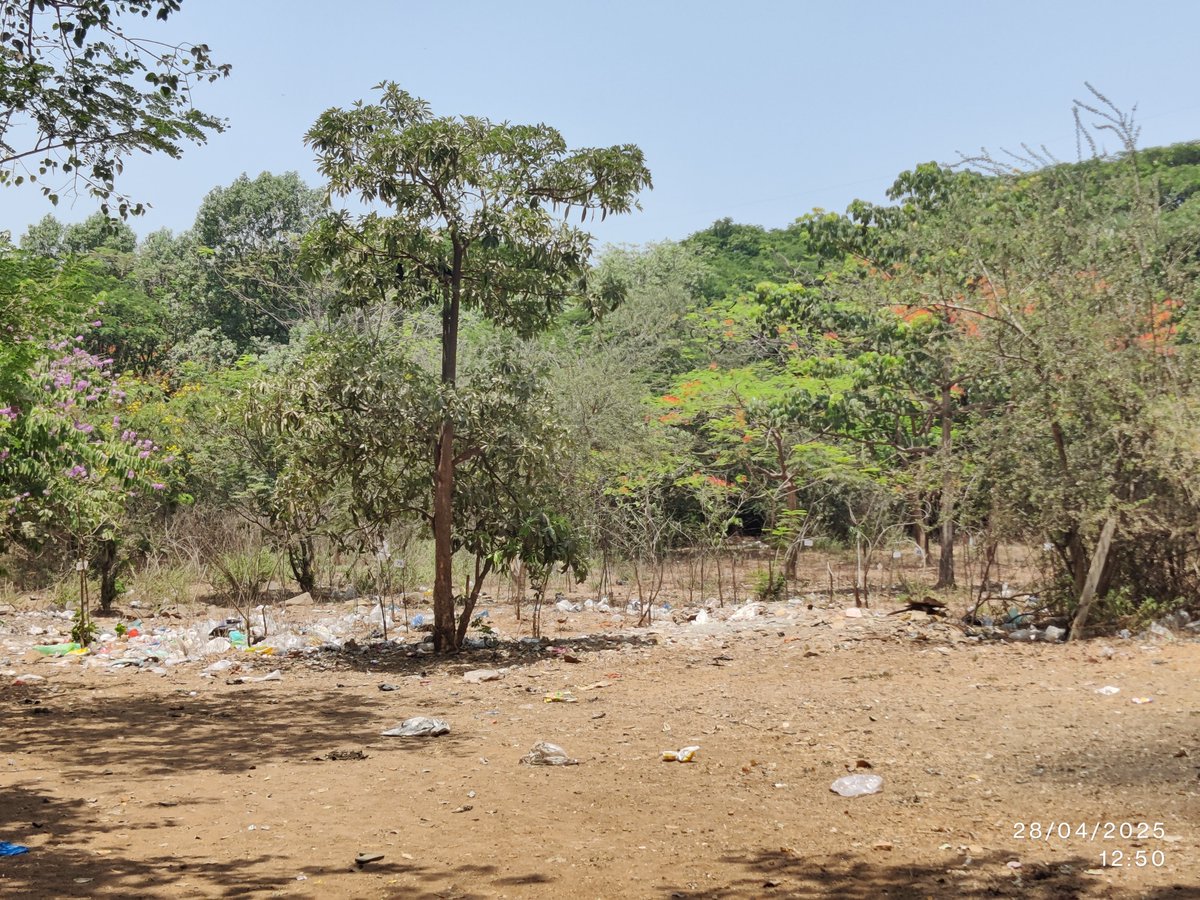 Given that this land falls within Aarey Colony and is under the purview of the Forest Department, one can't help but question if this was intended to be part of the compensatory afforestation efforts promised by the government in lieu of the trees felled for the metro carshed 3/n