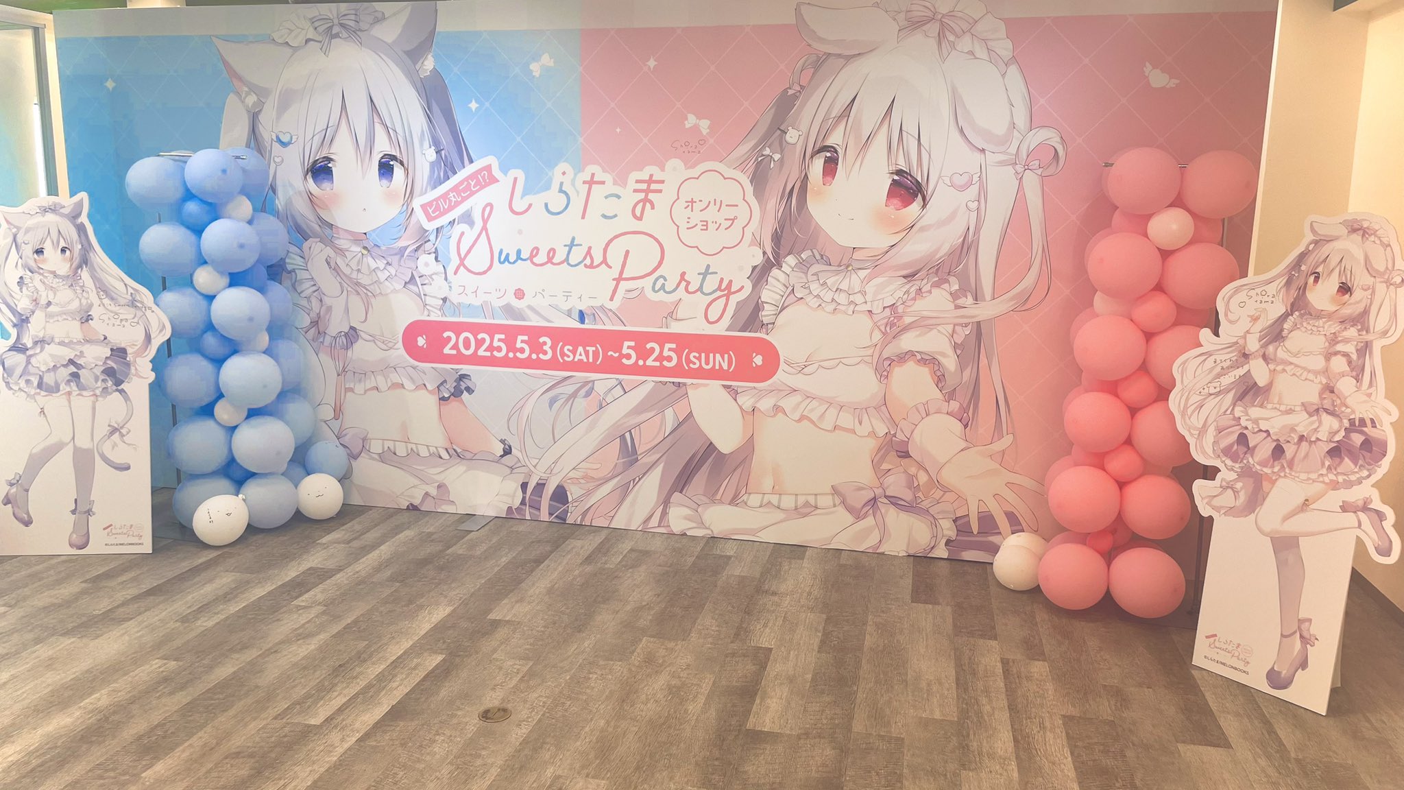 しらたま❄️5/3～5/25オンリーショップ開催❕＠秋葉原