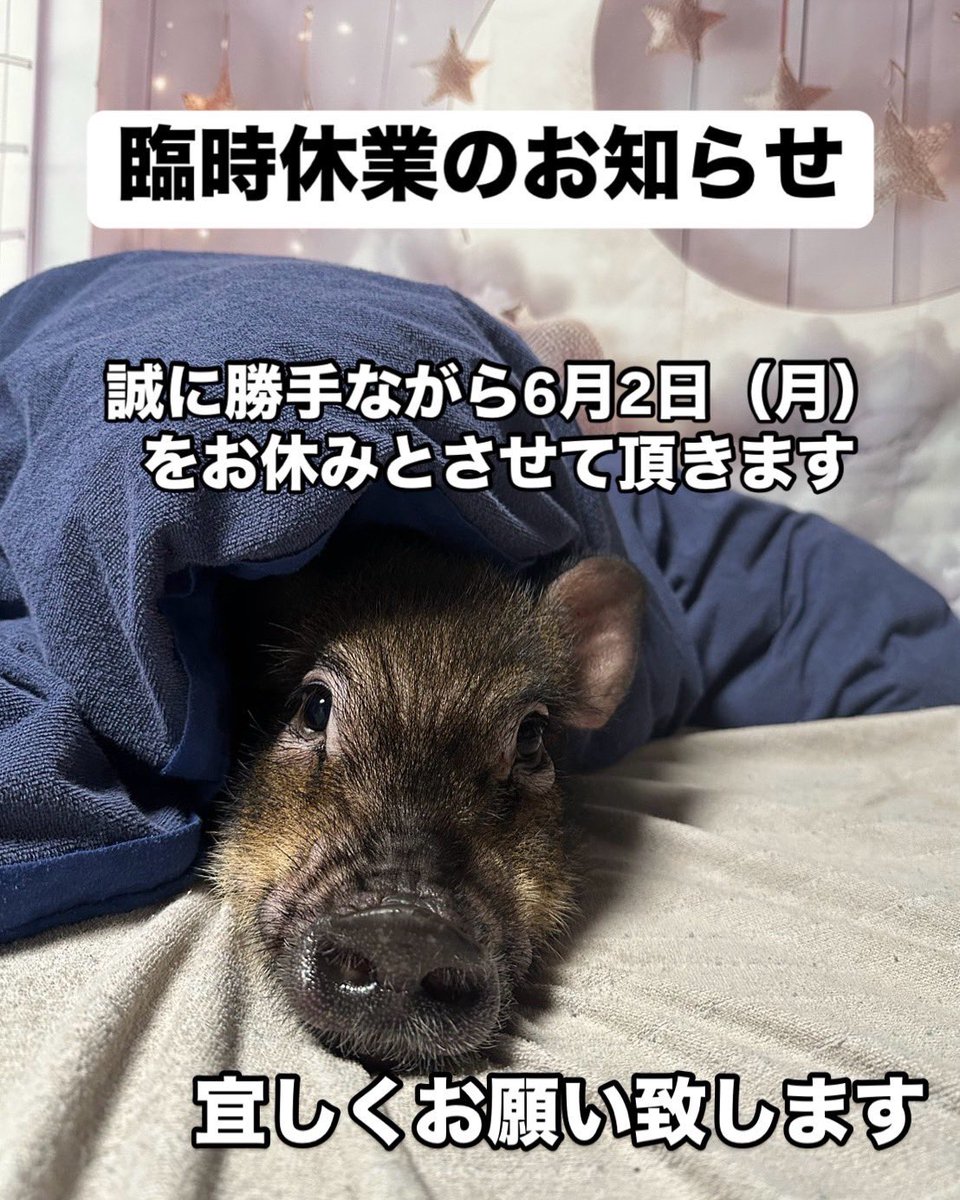 sobafurusawa's tweet photo. 【臨時休業のお知らせ】

誠に勝手ながら6月2日（月）をお休みとさせて頂きます。
宜しくお願い致します。
3日（火）は定休日の為、４日より通常通り営業いたします。

ご不便をおかけしますが、宜しくお願い致します。

#蕎麦処ふるさわ
#山形そば
#山形ランチ
#飲食店　#山形おすすめ
#山形グルメ https://t.co/lx5agwUGNi