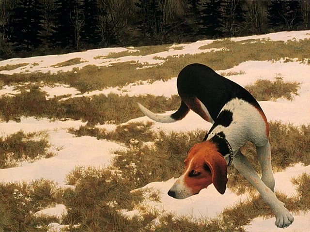 Alex Colville has done so many amazing paintings of dogs throughout his body of work Woman and Terrier, 1963Dog and Priest, 1978Dog and Bridge, 1976Hound in Field, 1958 