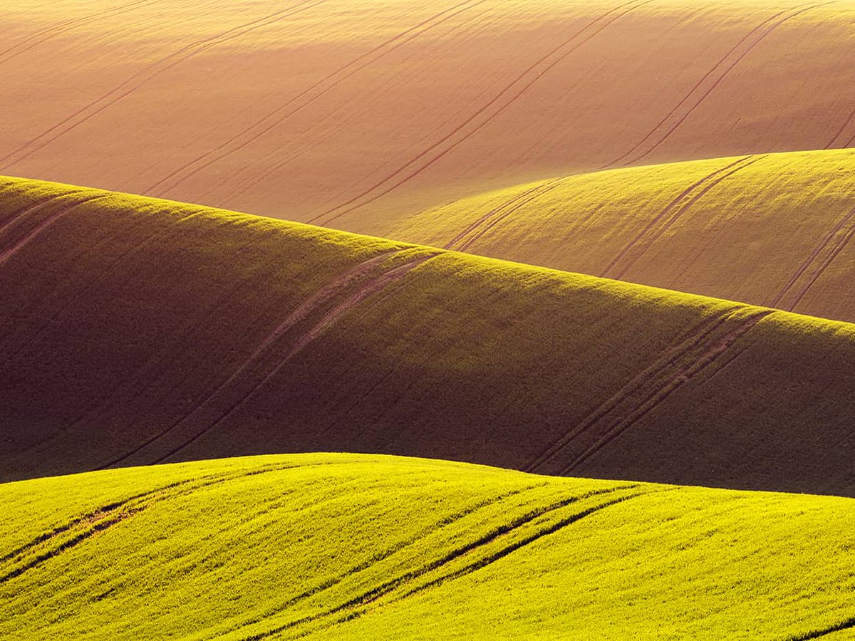 Farmers face more risk than ever – from tariffs to climate change. Want to stay ahead? Focus on what you can control. 

Read the article 👉 ow.ly/WC2z50VVoRj 

#Agribusiness #FarmingResilience