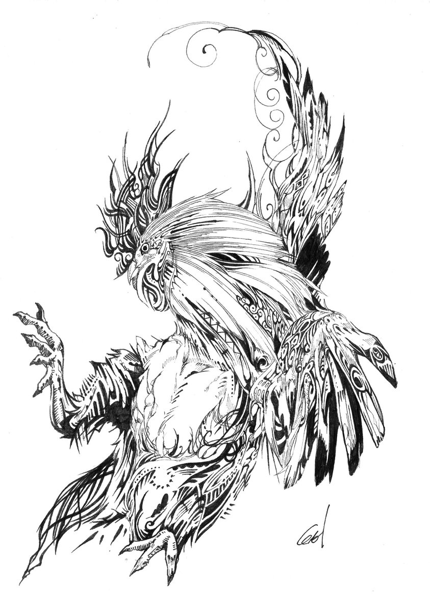 chicken🐓 