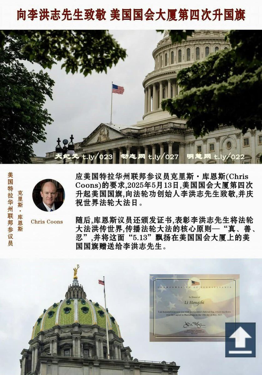 Lan zhen (@junxiao1477008) on Twitter photo 