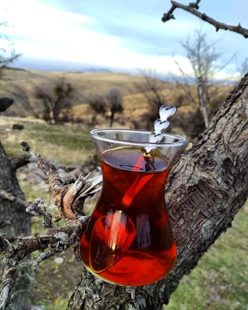 Oktay2215's tweet photo. .
Güzel insan
Aramayın ,
    Güzel insan olun ✔️✔️
. https://t.co/sfUwMN1L7d