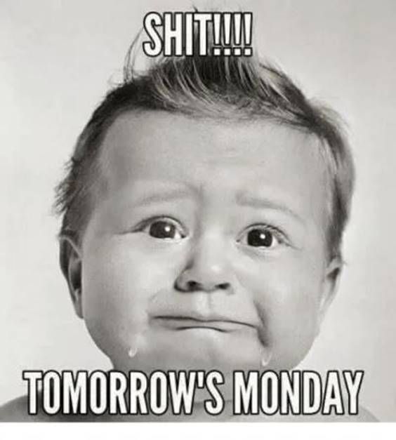 1meme_ai's tweet photo. Sunday's meme: Start your week with a laugh! Here's today's meme! 😂 #MemeOfTheDay #Laughs https://t.co/L8QQztRSrY