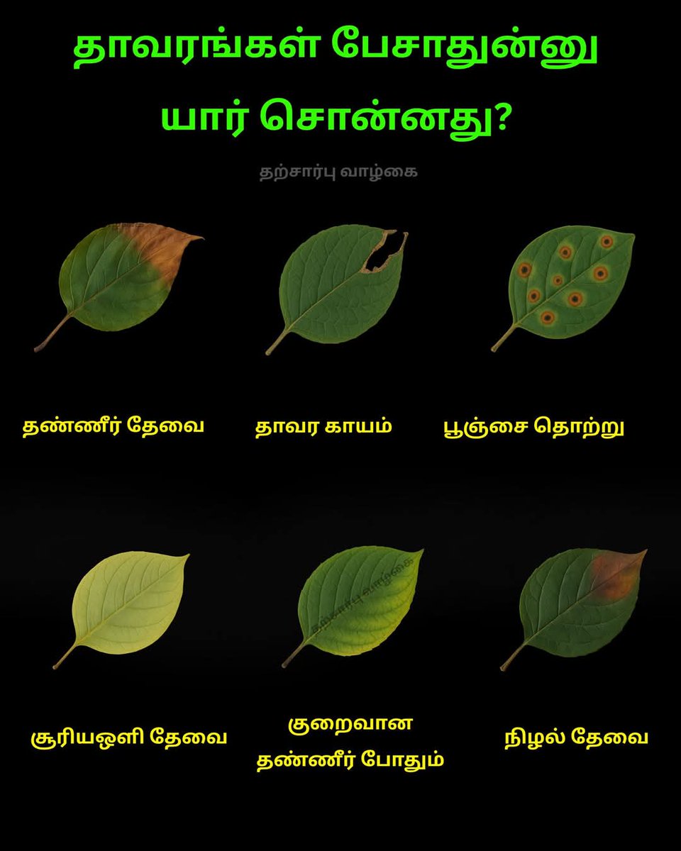 இலை மொழி💪