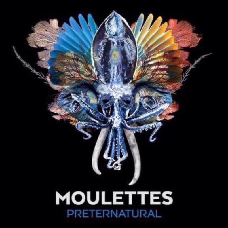 Romantic fish? Octopus-chameleons? Oceanic mysteries? Preternatural (2016) by Moulettes is a wildly inventive concept album—prog, folk &amp; electronica woven into something truly original. Hannah Miller leads with fearless creativity. You need to hear this.