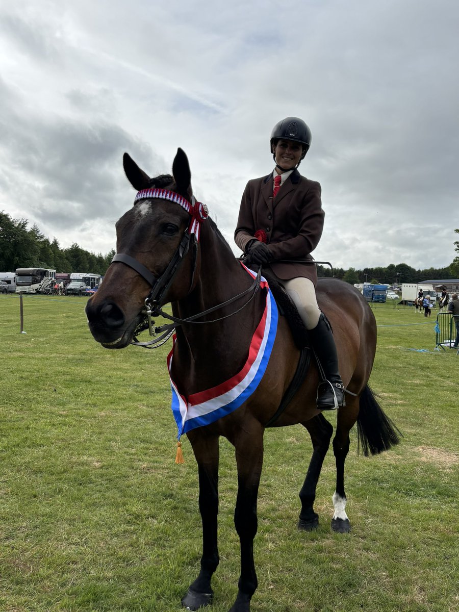 JkEquine's tweet photo. I’d say she’s pretty happy with herself! 
Two wins 
Two championships 
Light Horse Supreme champion

Fab day at Northumberland County Show. 💜💜💜
#LadyButtons #LuckyMe https://t.co/oFHW5DvxIW