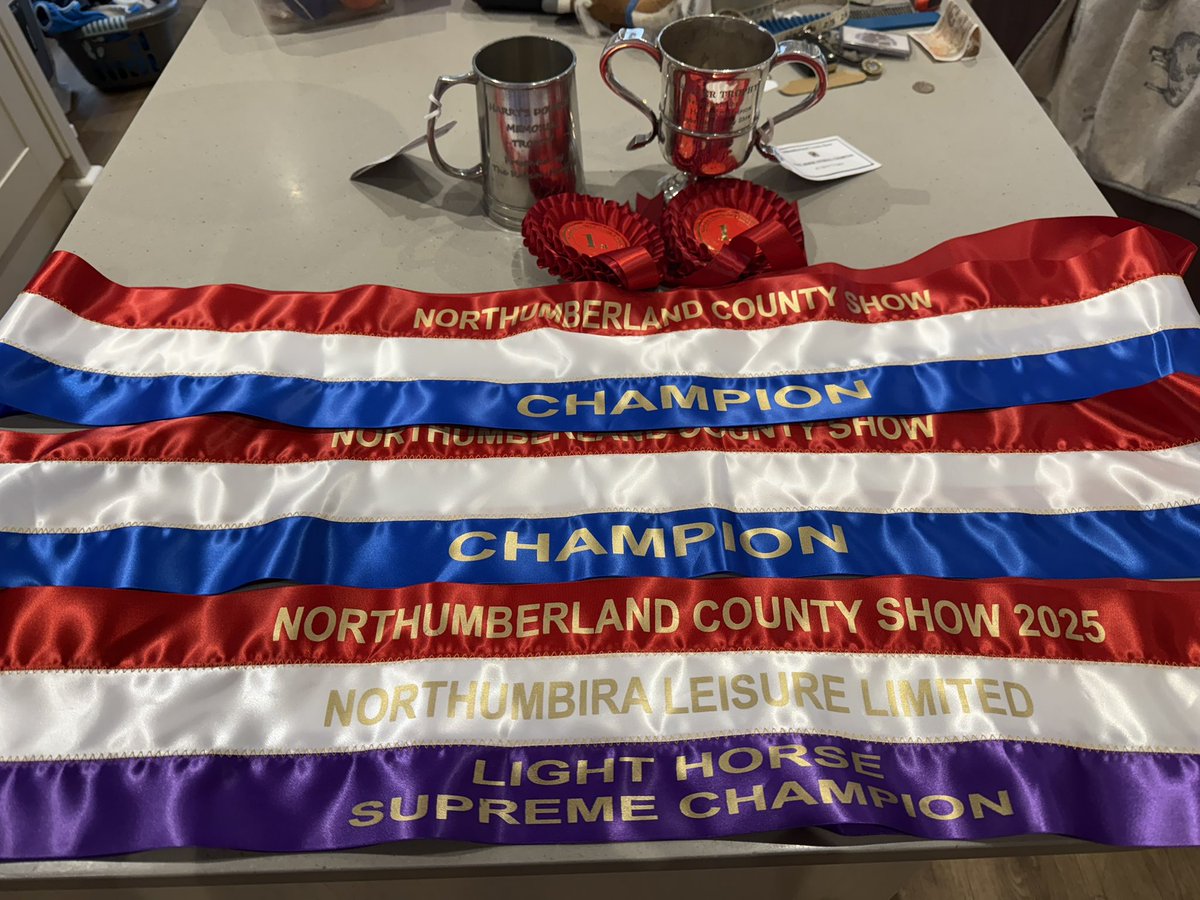 JkEquine's tweet photo. I’d say she’s pretty happy with herself! 
Two wins 
Two championships 
Light Horse Supreme champion

Fab day at Northumberland County Show. 💜💜💜
#LadyButtons #LuckyMe https://t.co/oFHW5DvxIW