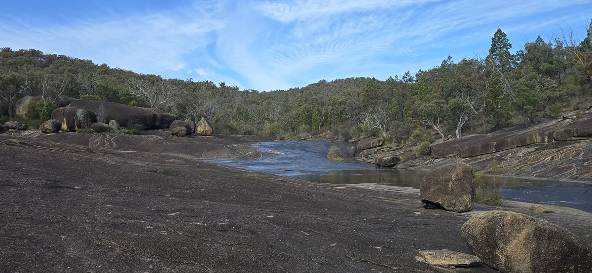 SorgGuy's tweet image. Beautiful day at Girraween National Park today. It was a short walk, but energising!