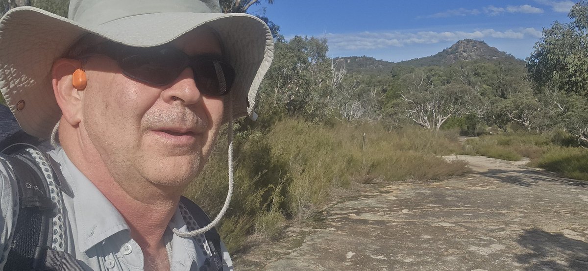 SorgGuy's tweet image. Beautiful day at Girraween National Park today. It was a short walk, but energising!