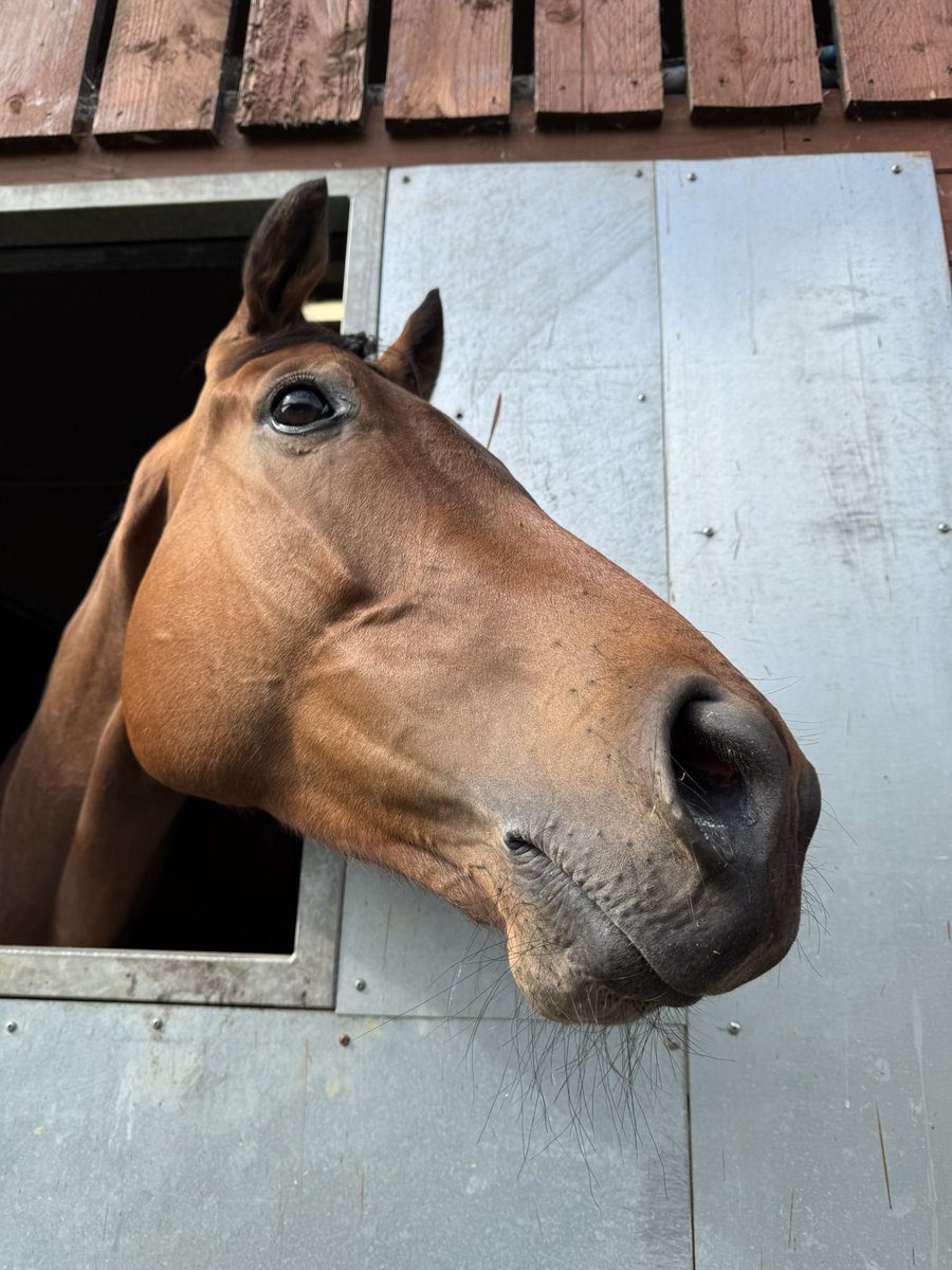 Buck Whaley #TeamFOB
