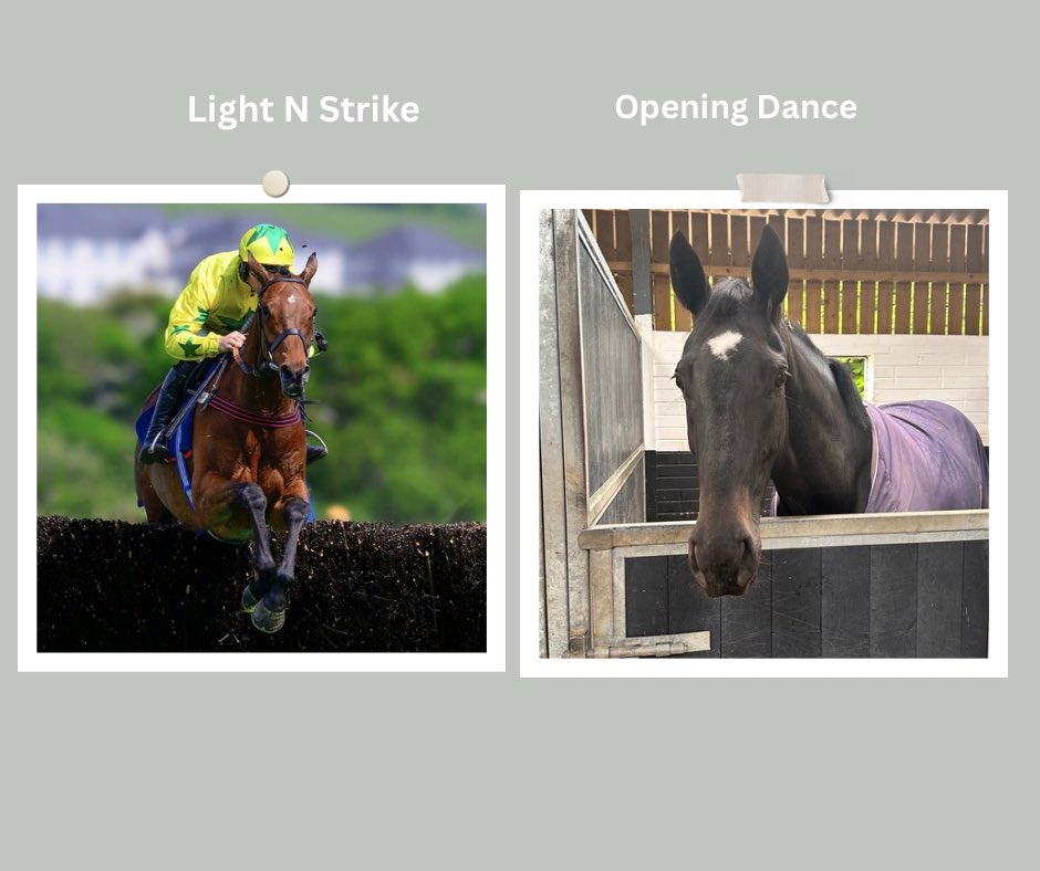 Emma Lavelle (@elavelleracing) on Twitter photo π Sunday 25th May π
πΉ<a href="/UttoxeterRaces/">Uttoxeter Racecourse</a> 3.48 pm Light N Strike π <a href="/BenJone04644251/">Ben Jones</a> rides
πΉ <a href="/FontwellPark/">Fontwell Park</a> 5.18 pm Opening Dance π <a href="/GavinSheehan92/">Gavin Sheehan</a> rides
#Goodluck#TeamLavelle π π Sunday 25th May π
πΉ<a href="/UttoxeterRaces/">Uttoxeter Racecourse</a> 3.48 pm Light N Strike π <a href="/BenJone04644251/">Ben Jones</a> rides
πΉ <a href="/FontwellPark/">Fontwell Park</a> 5.18 pm Opening Dance π <a href="/GavinSheehan92/">Gavin Sheehan</a> rides
#Goodluck#TeamLavelle π