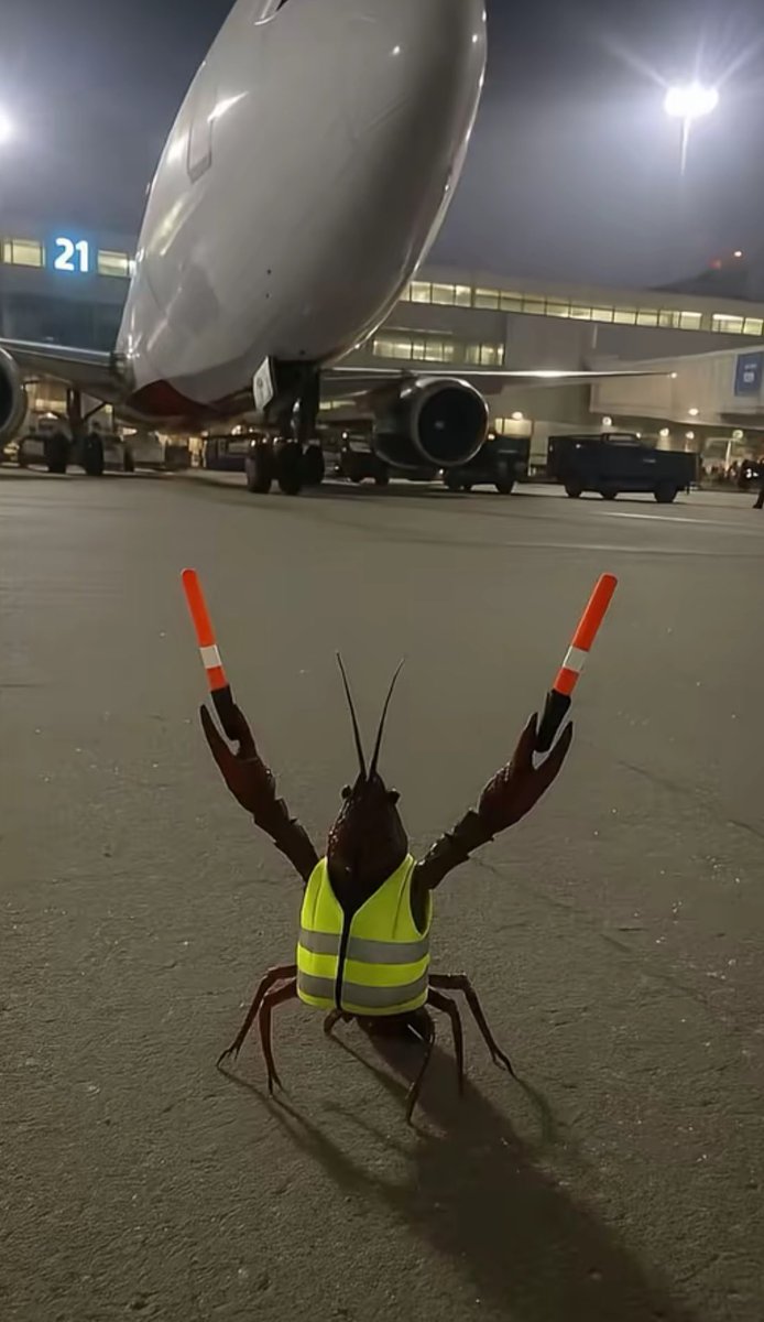 Llegando a Veracruz ☺️