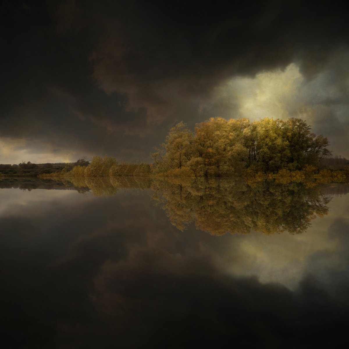 SaskiaBoelsums's tweet image. Meerzicht