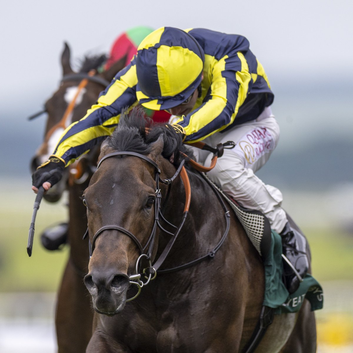 ITM (@irethoroughbred) on Twitter photo Clive Cox on the board at Irish Guineas weekend as JAMES'S DELIGHT (IRE) takes G2 Greenlands Stakes in the hands of <a href="/oismurphy/">Oisín Murphy</a>. ⚡️
4yo bred by <a href="/NewtownStud/">Newtown Stud</a>. Sold to <a href="/CrossStables/">CrossStables</a> at <a href="/Goffs1866/">Goffs</a> Nov Foal & to <a href="/annarossKRB/">anna ross</a> at <a href="/Goffs1866/">Goffs</a> Orby Two.
Royal Ascot could be next! 👑 Clive Cox on the board at Irish Guineas weekend as JAMES'S DELIGHT (IRE) takes G2 Greenlands Stakes in the hands of <a href="/oismurphy/">Oisín Murphy</a>. ⚡️
4yo bred by <a href="/NewtownStud/">Newtown Stud</a>. Sold to <a href="/CrossStables/">CrossStables</a> at <a href="/Goffs1866/">Goffs</a> Nov Foal & to <a href="/annarossKRB/">anna ross</a> at <a href="/Goffs1866/">Goffs</a> Orby Two.
Royal Ascot could be next! 👑