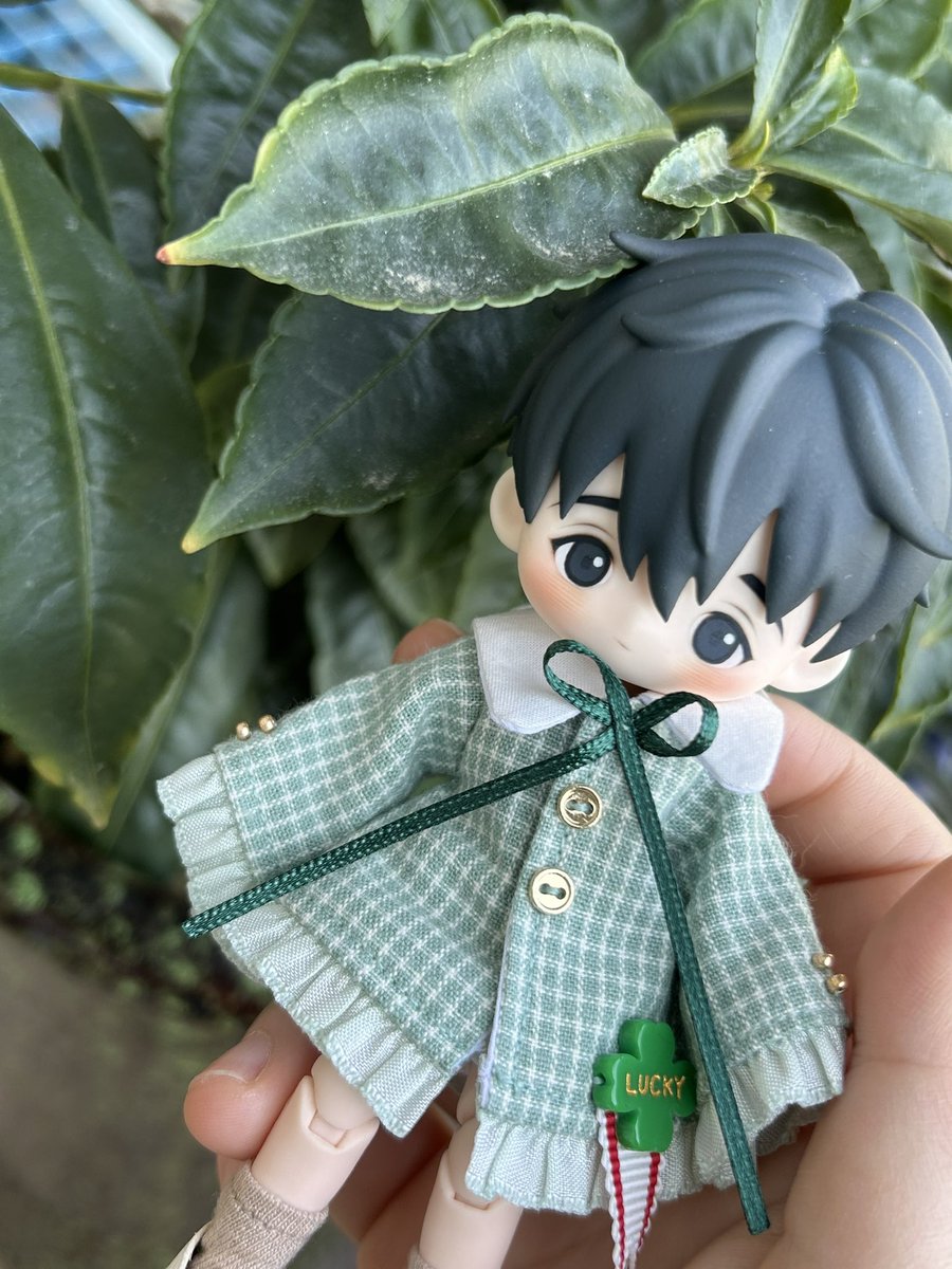 저녁에 먹을 상추따러옴🥰