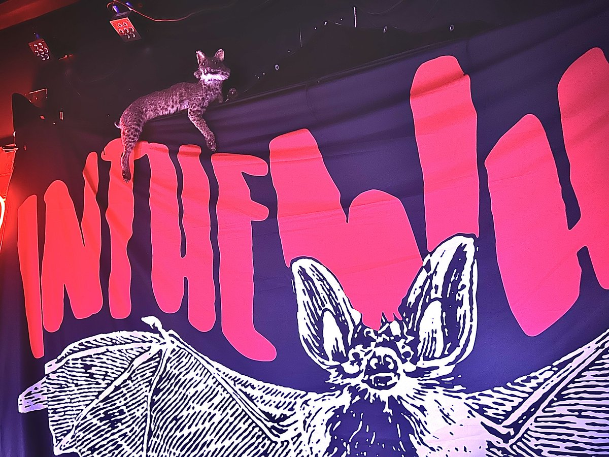 Thank you Lincoln and Davenport! Today is this bands final long drive home.

This Friday is the last INTHEWHALE show ever and Laramie, WY has the privilege of hosting! Ladies and gentlemen... This. Is. It. 

Ruffed Up Duck Saloon - Friday, May 30th