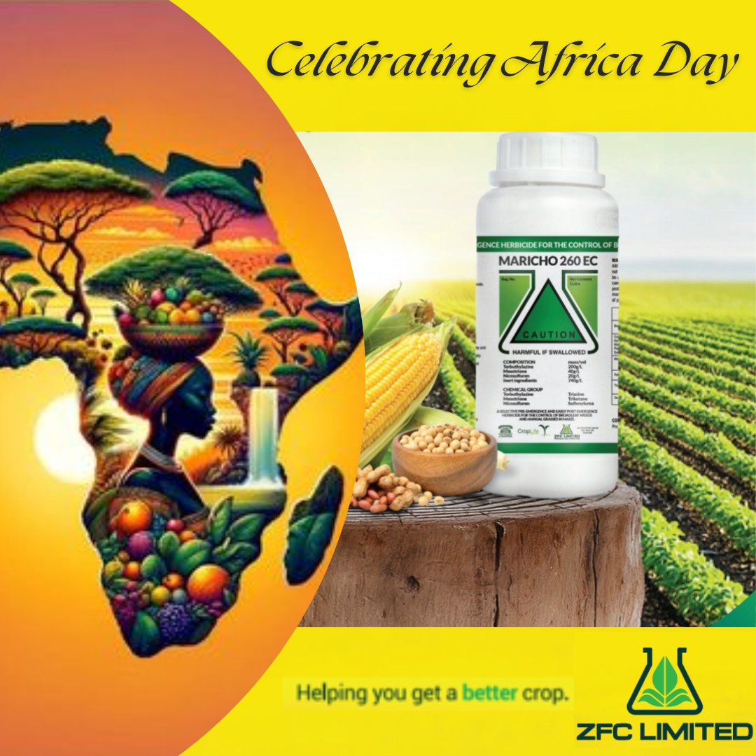 ZFC Limited tweet media