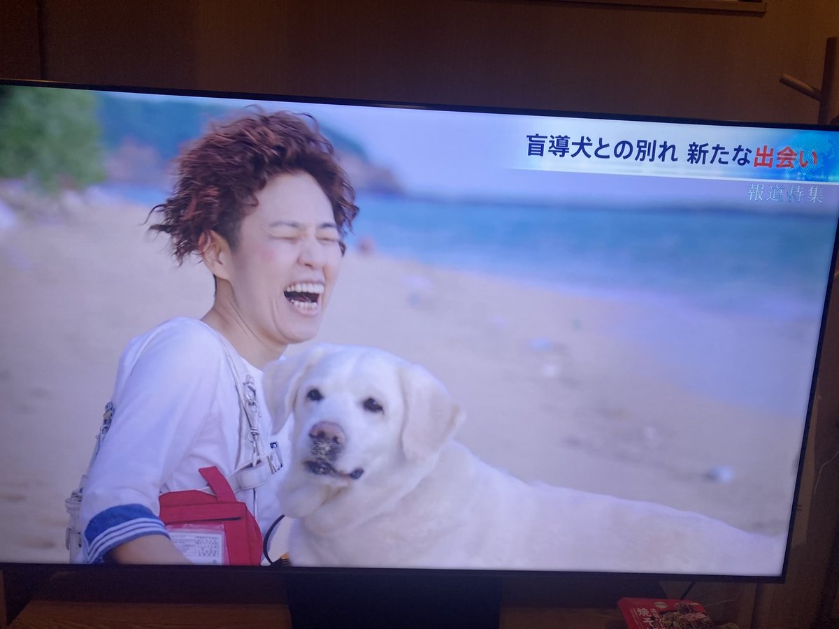5月24日 TBS報道特集 浅井さんの盲導犬とのお別れについて。

全盲の浅井さんがテレビに出演されてましたˊᵕˋ
本編でも一緒にいた盲導犬は8年で引退になり、他の家族のところに行ったそうです。

令和の虎がなかったら、知らなかったことばかり。テレビの中も、あのとびきり明るい浅井さんでした✨
