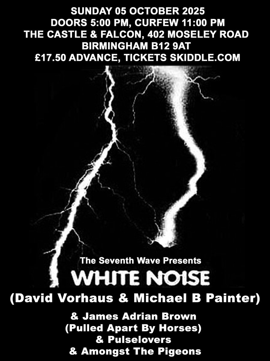 seventhwavebham's tweet image. The Seventh Wave returns in Oct-our 3rd event features electronic music pioneer, David Vorhaus. White Noise/James Adrian Brown/Pulselovers/Amongst The Pigeons will be playing on the 05th of Oct-tickets skiddle.com/g/theseventhwa… @CastleandFalcon @jamadrianbrown @Pulselovers