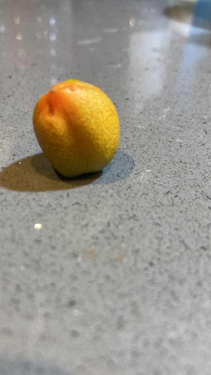 LionUnity's tweet image. Akhirnya buat peanut butter hasil tanam sendiri. Rasa macam makan kacang rangup dan manis.