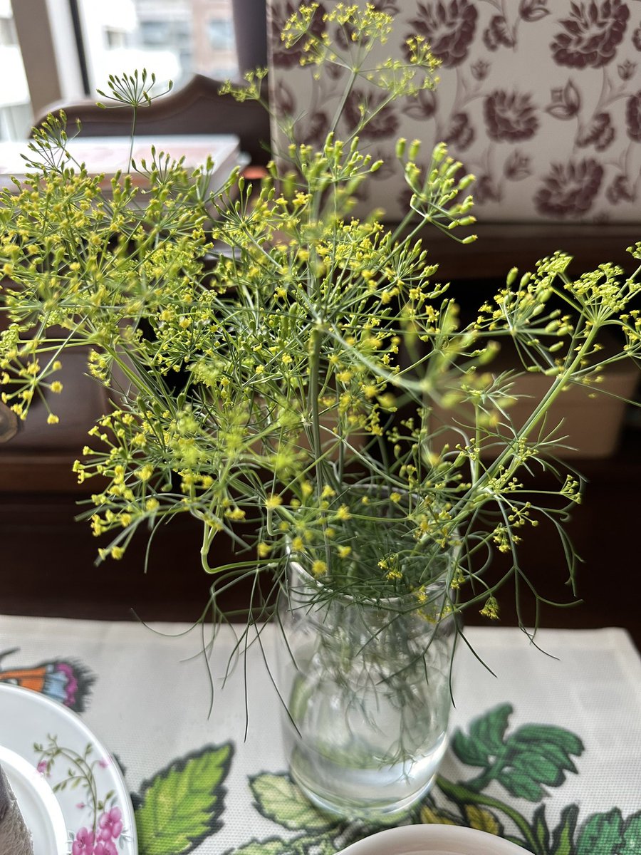 ดอกผักชีลาวเหลืองละออตา วางตรงไหนก็สวย ใช้ได้อีกหลายวาระ 🥰เค้กเผือกกับชาอู่หลง