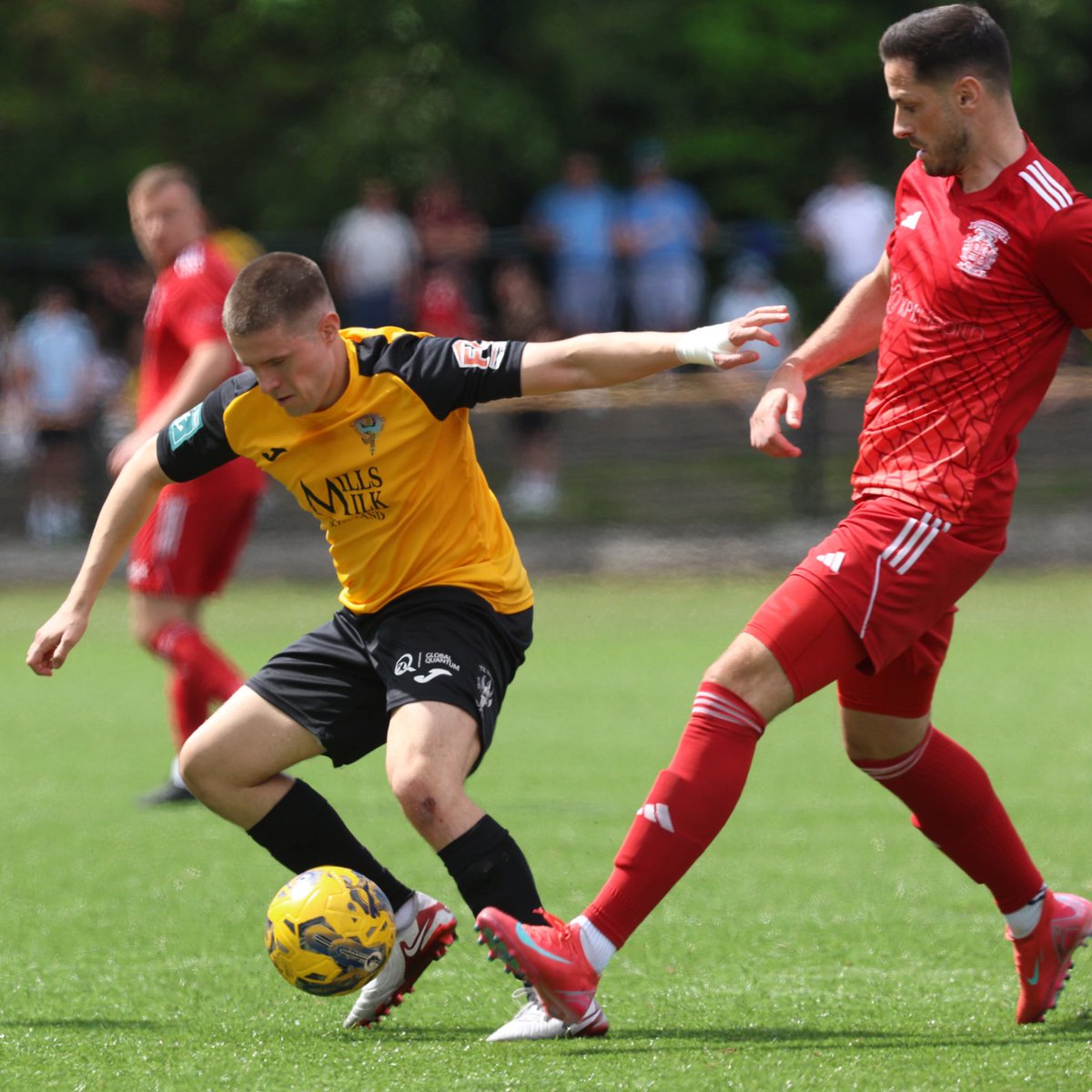 Allan MacKenzie 🇦🇹