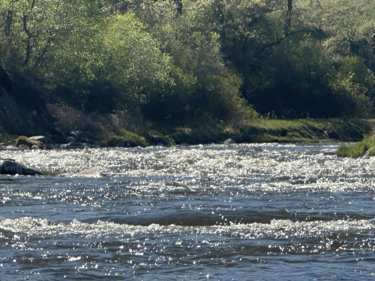 Kendall Heise tweet media