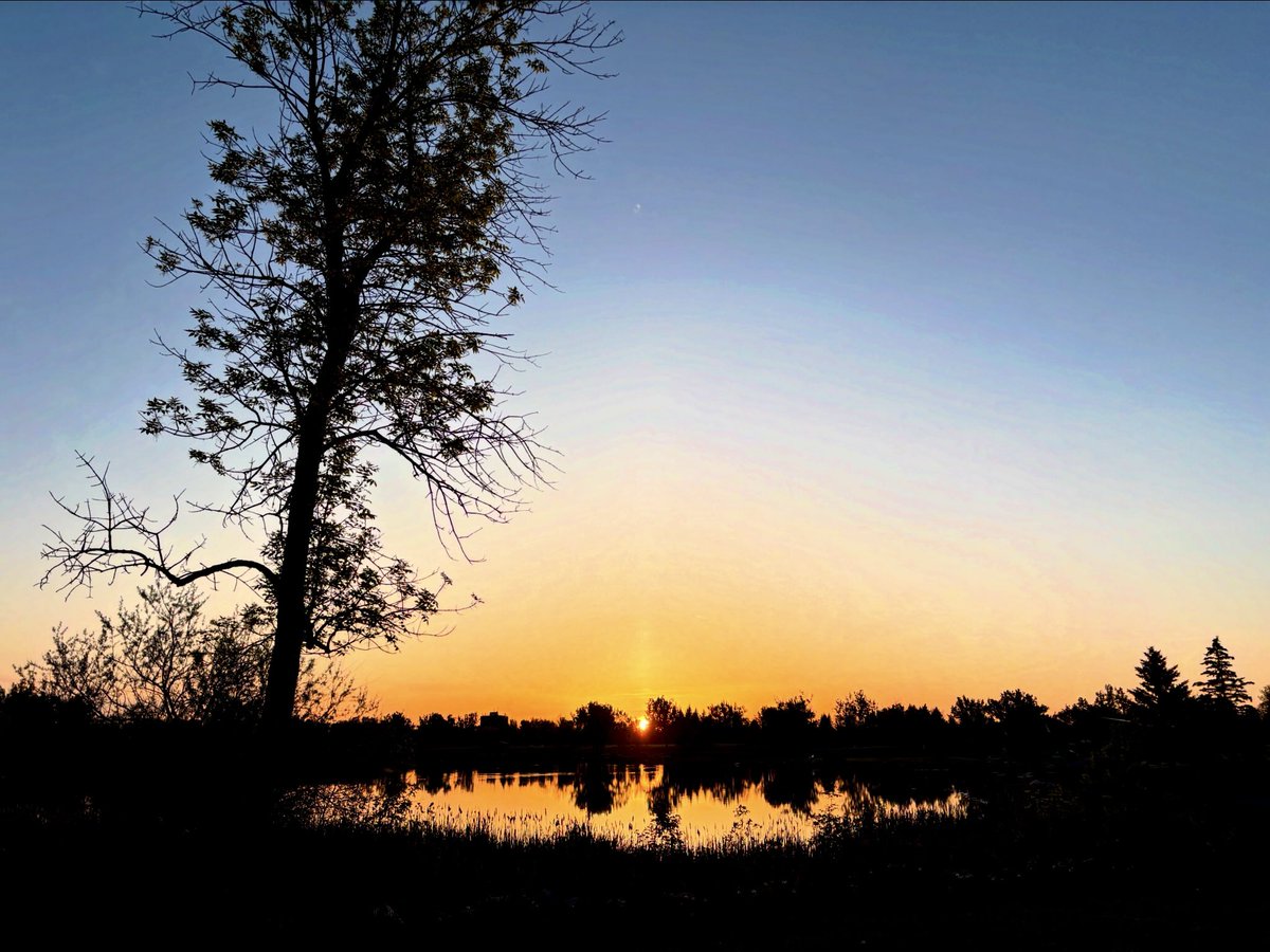 Dawn at Nicholas Sheran Park