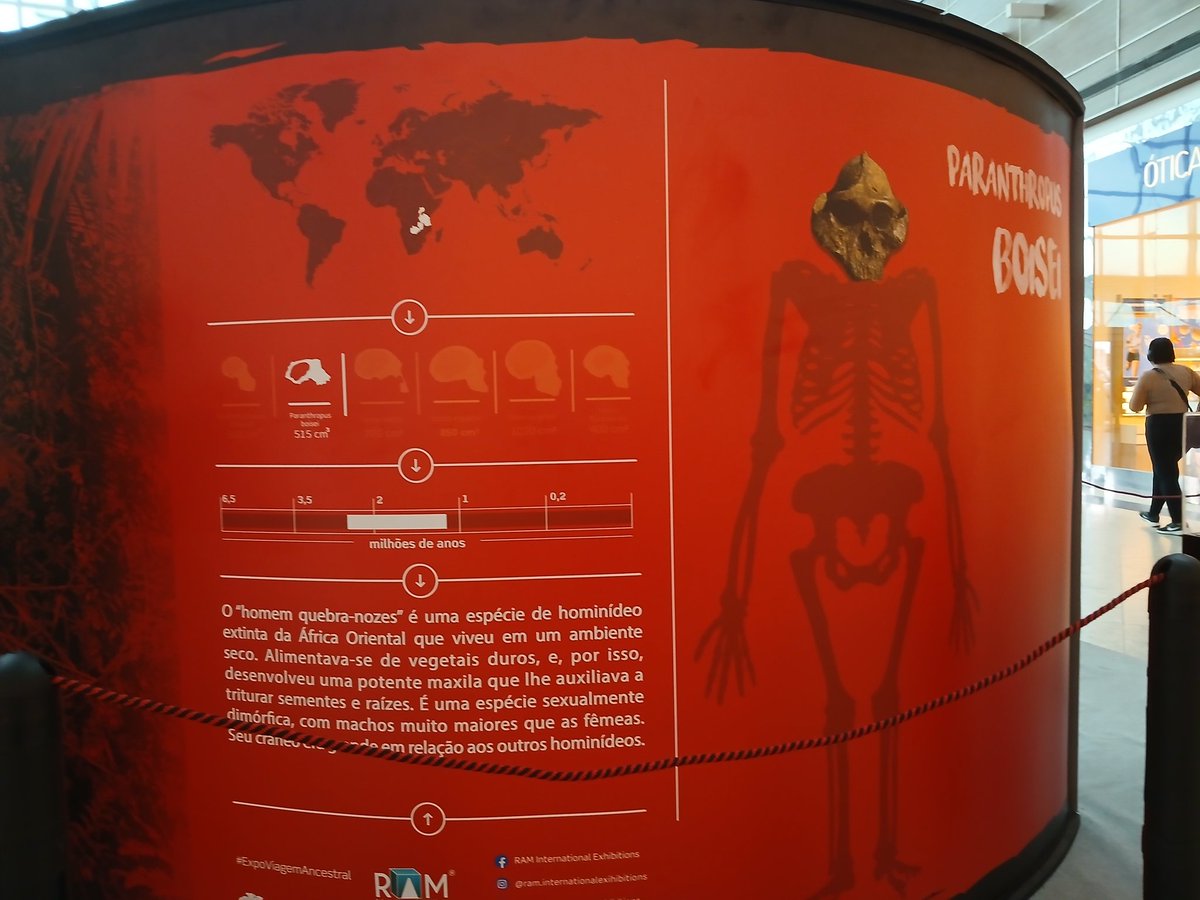 <a href="/OviraptorStudio/">Oviraptor Studios</a> Para vocês que estão em Belém do Pará, tenho a recomendar a Exibição Sapiens no Park Shopping, acaba dia 30/05/2025
