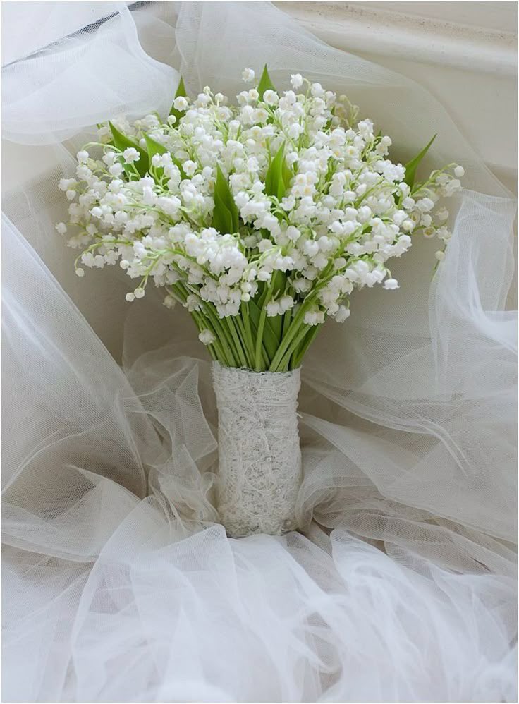 <a href="/sghoonpr/">Harsen Alastrair</a> @Jimsinyu <a href="/wiinteour/">✩Winteo`♡´</a> <a href="/bhumistara/">𝐁𝐇𝐔𝐌𝐈, 𝐖.</a> /mengatur nafas, mengeratkan genggaman pada bunga/

“menuju lembaran baru...”

/Mulai berjalan memasuki altar, menatap ke depan, melihat para tamu sambil
tersenyum manis, kemudian menatap harsen yang berada di depan dengan tatapanlembut/

<a href="/sghoonpr/">Harsen Alastrair</a>
#LeChapitreTwycen