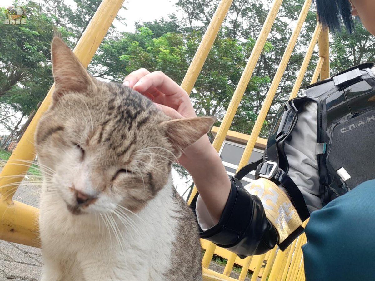 zzzfess_'s tweet photo. fanboo!

Sender tadi nunggu temen sambil cosplay harumasa, tiba² ada meong dateng minta dielus.. https://t.co/YIL50fjG2m