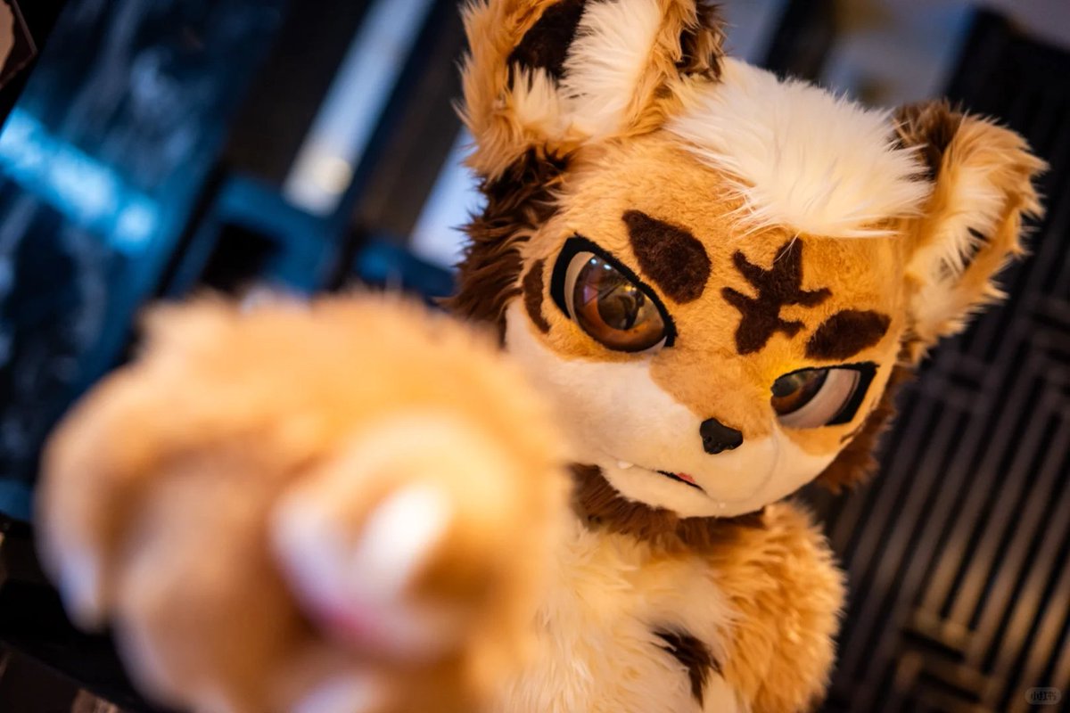 对！就是你…

📷：@殁卡Moka 
#furry #毛毛星期五 #FurryFriday