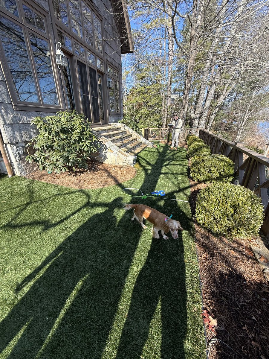 Our team upgraded this #laketoxaway backyard making it far more functional and easier for the resident 🐶🌱✨

So give us a call! 

📞 864 905 6155 

#syntheticgrass #artificialgrass  #syntheticturf #artificialturf