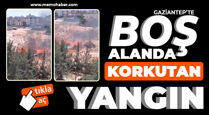 memo_haber's tweet image. Nizip Menderes Mahallesindeki Boş Alanda Yangın Korkuttu
memohaber.com/haber/nizip-me…
#Nizip #Menderes #Mahalle #Yangın #Korkuttu #Memohaber #Gaziantep